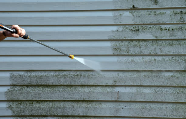 Best Sidewalk and Walkway Cleaning  in Gaylord, MN